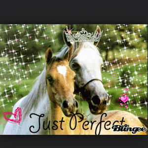 Meet your Posher, Rose